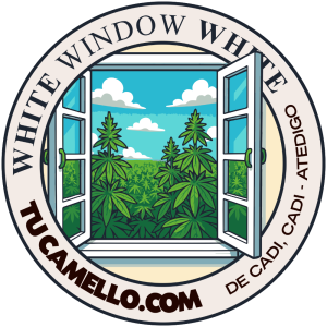 White Window