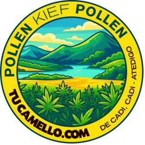 Pollen Kief