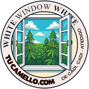 White Window